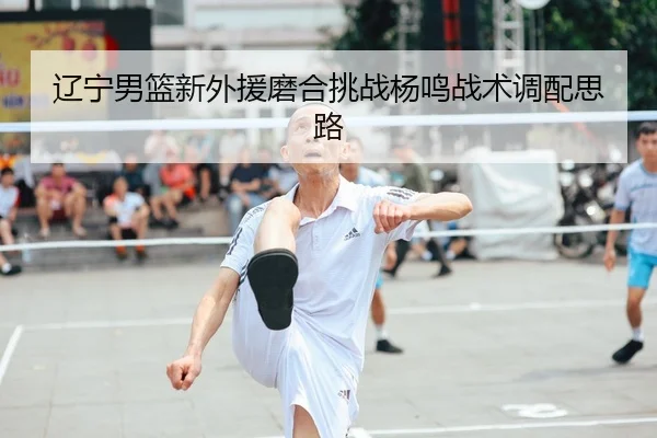 liao-ning-nan-lan-xin-wai-yuan-mo-he-tiao-zhan-yang-ming-zhan-shu-diao-pei-si-lu-1-749.jpg